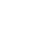 ODIN'S RAVENS