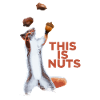 Funny squirrel juggles hazelnut talent