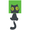 little black kitten