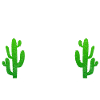 Cacti Cactus