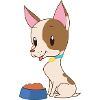 Sweet sweet Chiwawa dog