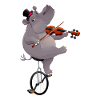 Hippopotamus with unicycle