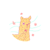 ALPAKA Club Animal