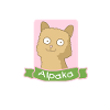 Alpaca animal sweet