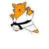 Cat makes karate