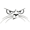 katzengesicht