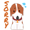 Dog Sorry