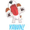 chien
