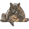Die tubbiest Katze