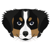 Illustration puppy Bernese Mountain Dog