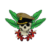 Deep Jungle - Capitaine Crâne
