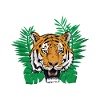 Deep jungle - tiger