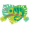 Chameleon - Chameleon