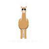 Attention spitting alpaca