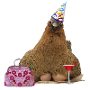 Hen night hen
