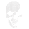 Skull 1