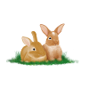 rabbit