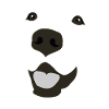 Labrador face
