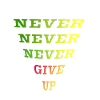Never give up