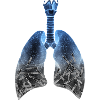 Smoker lung - Smoke stop now!