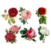 Painted roses