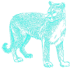 panthère