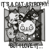 cat-astrophy so many cats!