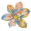 Blüte