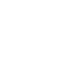 Taurus bull bull