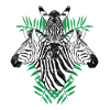 Deep jungle - zebra