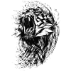 Tiger Abstract