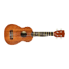 Guitar ukulele