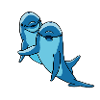 dolphins