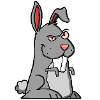 lapin