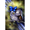Owl with butterfly