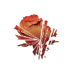Rose brisée