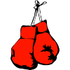Boxhandschuhe
