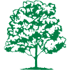 baum