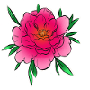 Wild rose pink green