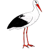 stork