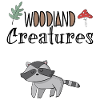 raccoon