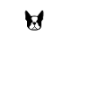Home DOGS