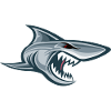Haifisch