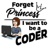 Programmer instead of princess