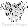 boxenteam_text_w_3f