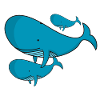 whale