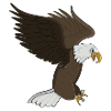 eagle
