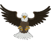 bald eagle