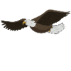 eagle