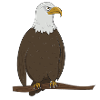 eagle